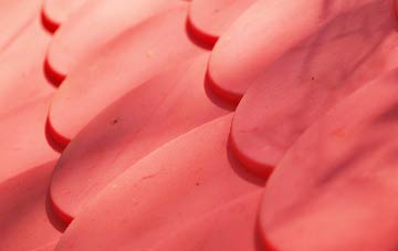 Halnaker plastic roof costs